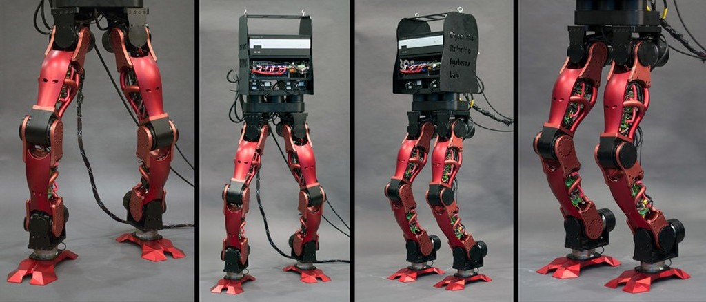 Accept humanoid. Робот gigtal Robot Servo Mrs-d2009sp. Нога робота. Роботизированные конечности. Роботизированная нога.