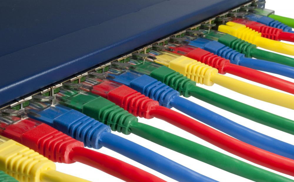 ethernet-cables-plugged-into-an-internet-switch