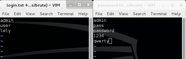 Рис. 3. Пример содержимого файлов с логинами и паролями 
