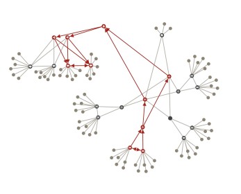 Veriflow+Network Architecture shot
