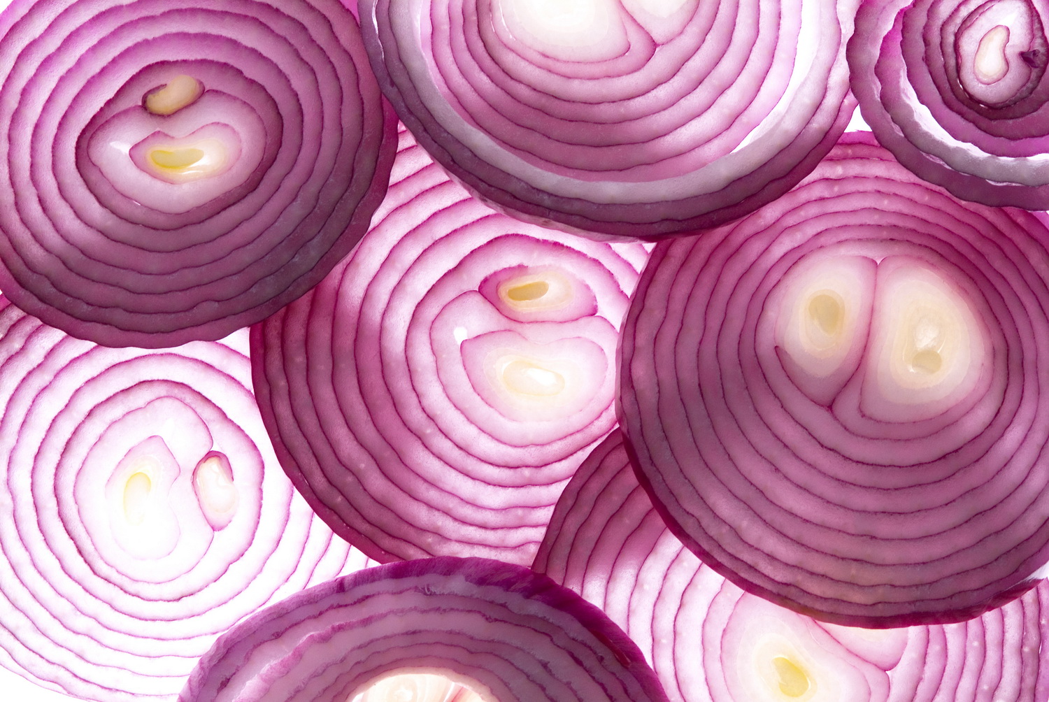 tor onion project