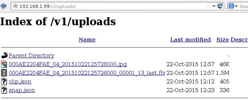 Пример перехваченных файлов после появления движения на Motorola Focus