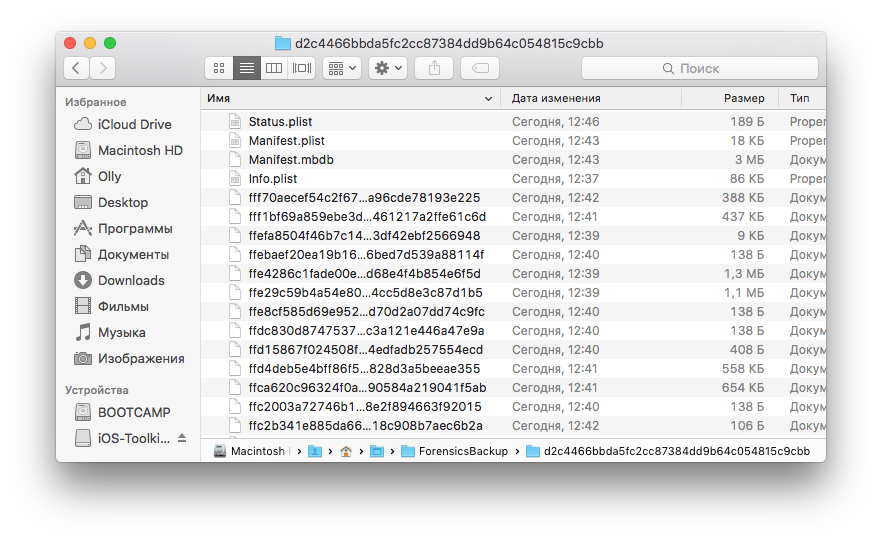 Manifest ios. Forensic Toolkit.