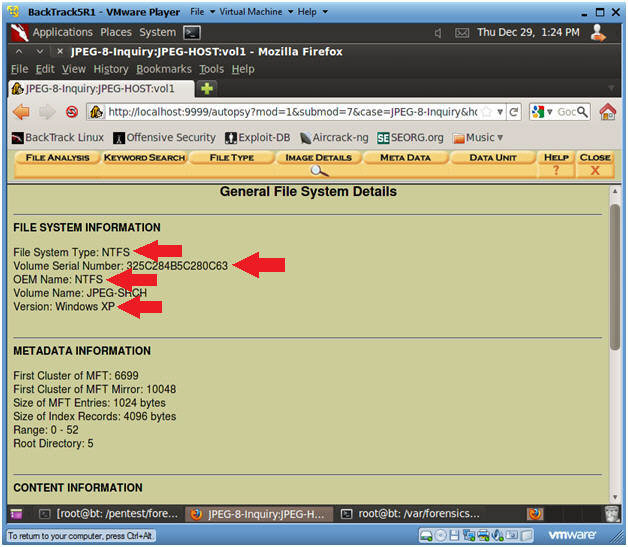 File info c. File System Forensic Analysis книга на русском. Po file.