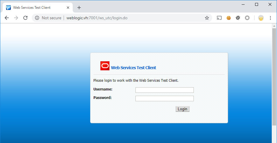 Форма входа в Web Services Test Client