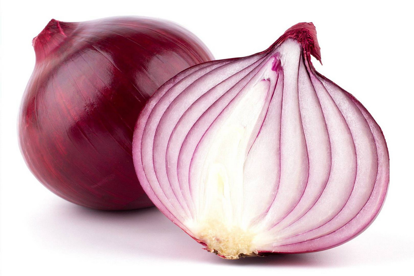 red onion tor