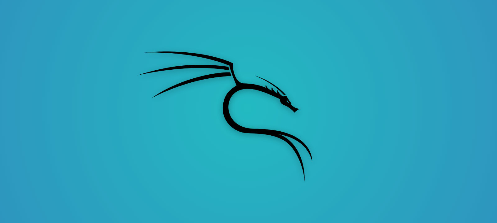 Kali Linux 2021.5