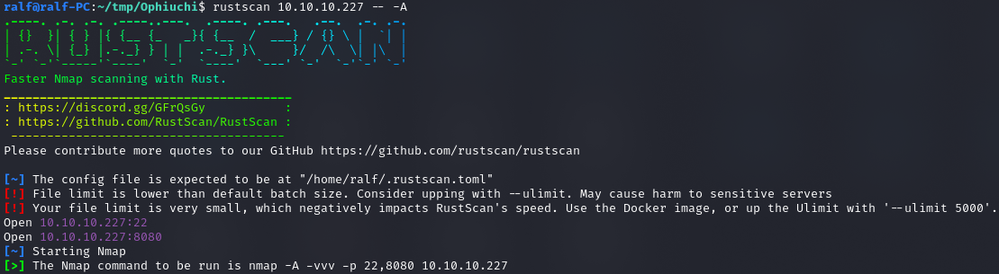 Обнаруженные с помощью RustScan открытые порты